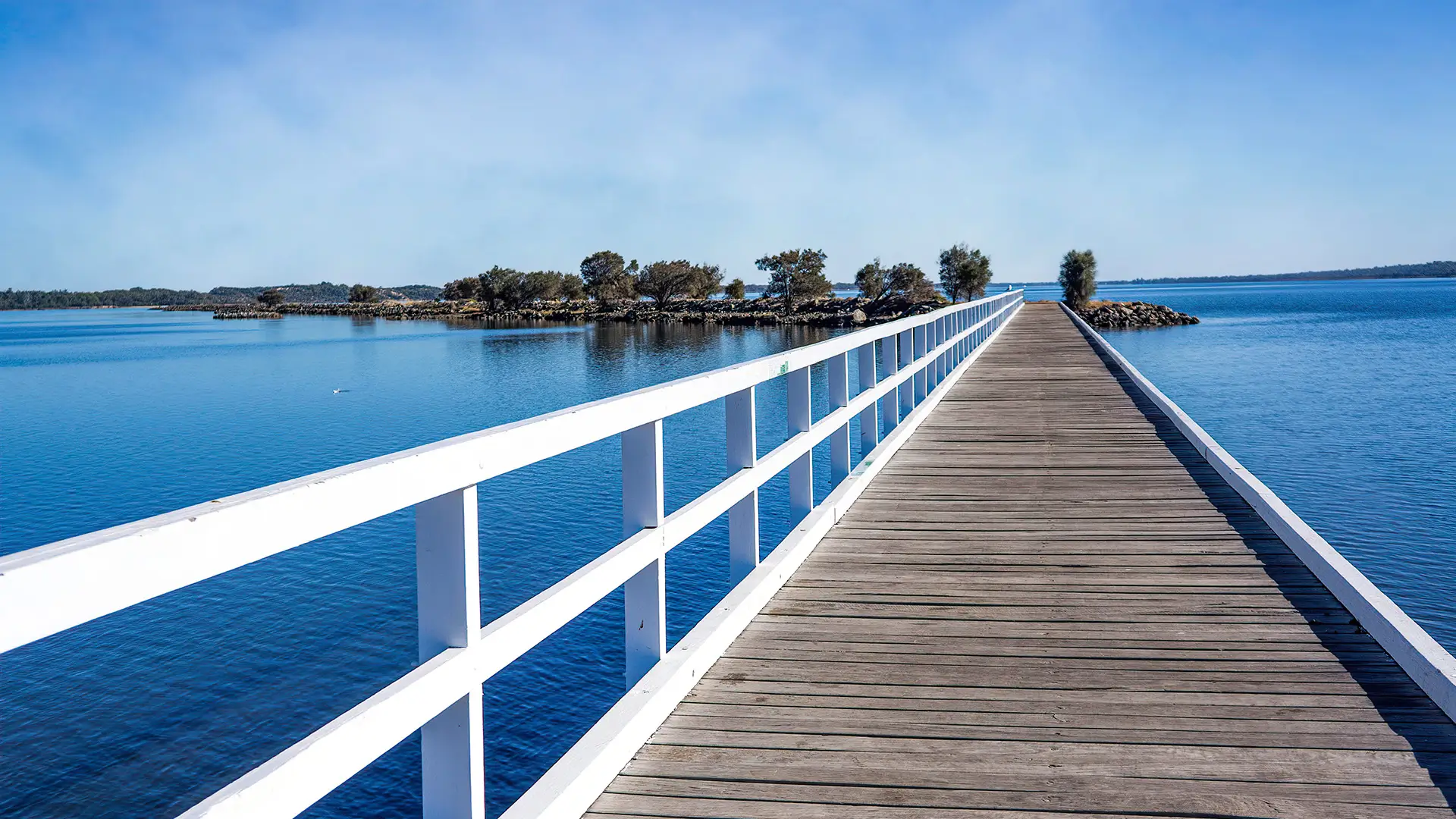 Australind